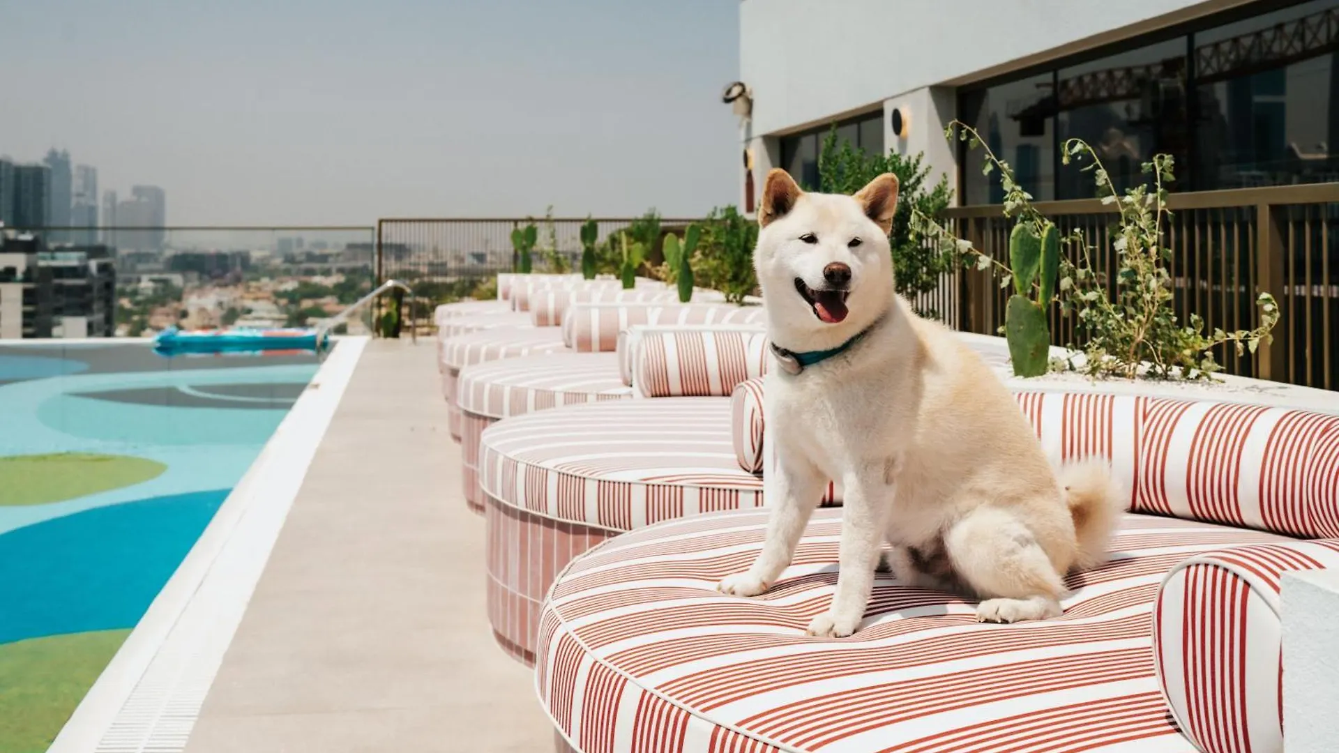Aparthotel The Muse 45 Dubai
